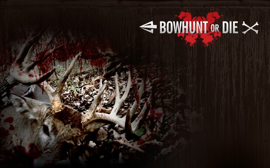 10 Top Bow Hunting Desktop Wallpaper FULL HD 1920×1080 For PC Background 2024 free download wallpapers archive bowhunting 1024x640