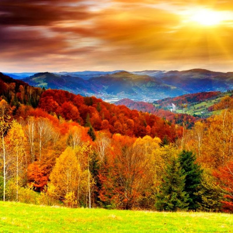 10 Most Popular Autumn Pictures For Desktop FULL HD 1920×1080 For PC Desktop 2024 free download wallpapers autumn scenery desktop wallpapers 2 800x800