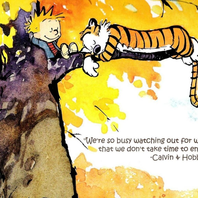 10 New Calvin And Hobbes Wallpaper Quote FULL HD 1920×1080 For PC Background 2024 free download were so busy calvin hobbes little talks pinterest 800x800