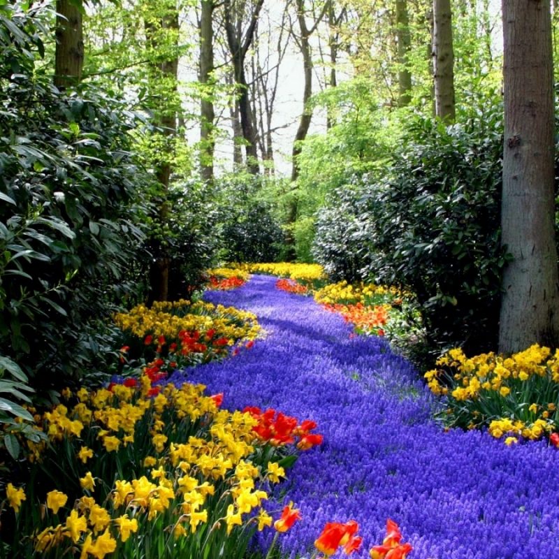 10 New Spring Scenery Wallpaper Widescreen FULL HD 1920×1080 For PC Desktop 2024 free download widescreen for spring computer black wallpaper wide hd pics mobile 800x800