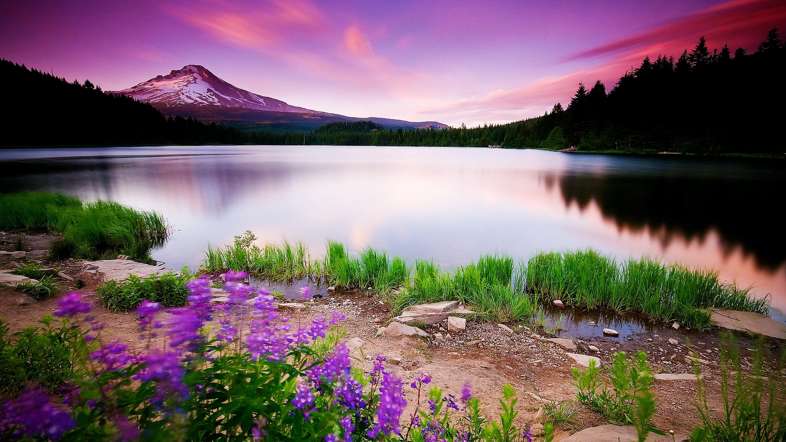 widescreen-nature-wallpapers-high-resolution-gallery-(66-plus)-pic