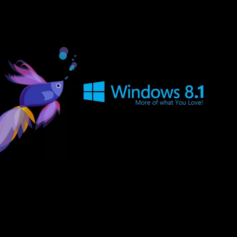 10 Best Windows 8 Wallpaper Hd 1080P FULL HD 1920×1080 For PC Desktop 2024 free download windows 81 wallpaper hd 1080p 53 images 800x800