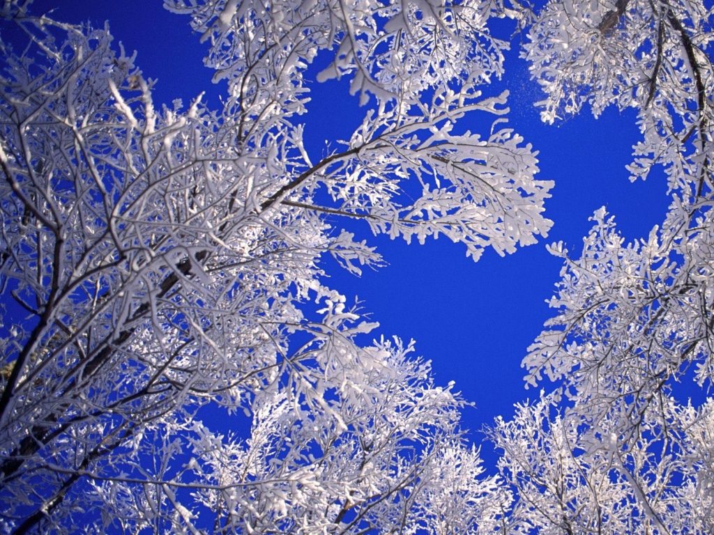 10 Most Popular Winter Scene Screensavers Free FULL HD 1920×1080 For PC Desktop 2024 free download winter backgrounds scenes group hd wallpapers pinterest 1024x768
