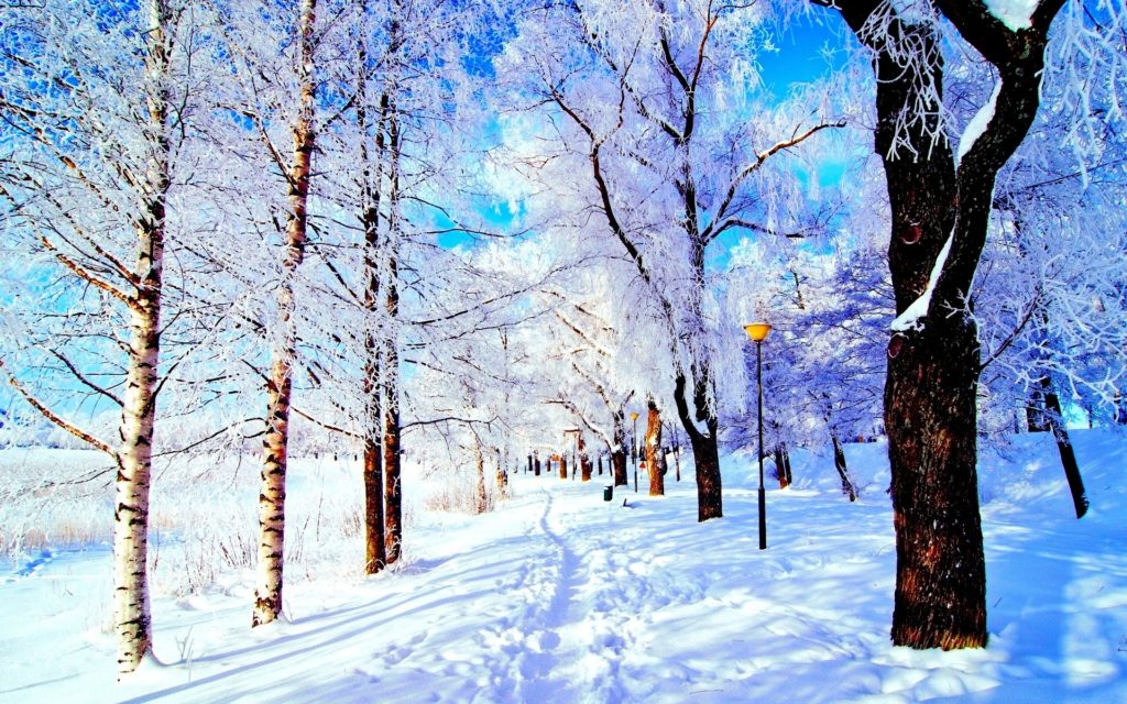 10 Top Beautiful Snow Pictures Backgrounds FULL HD 1920×1080 For PC Desktop 2024 free download winter lantern sky trees nice pretty cold lovely snow winter 1024x640
