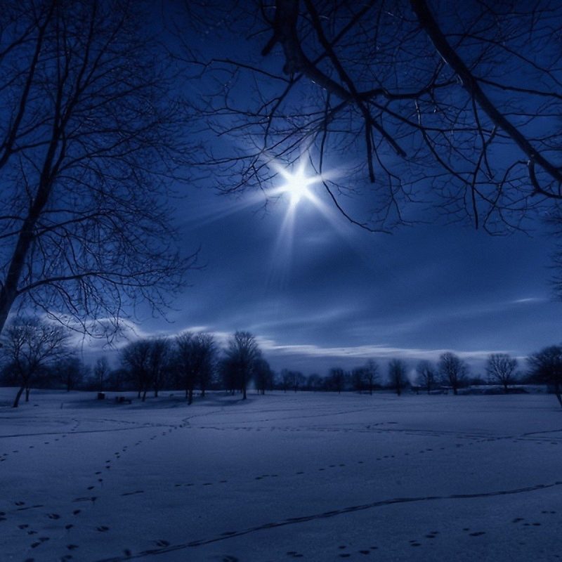 10 Most Popular Widescreen Winter Night Wallpapers FULL HD 1920×1080 For PC Background 2024 free download winter night in moonlight wallpaper widescreen media file 1 800x800