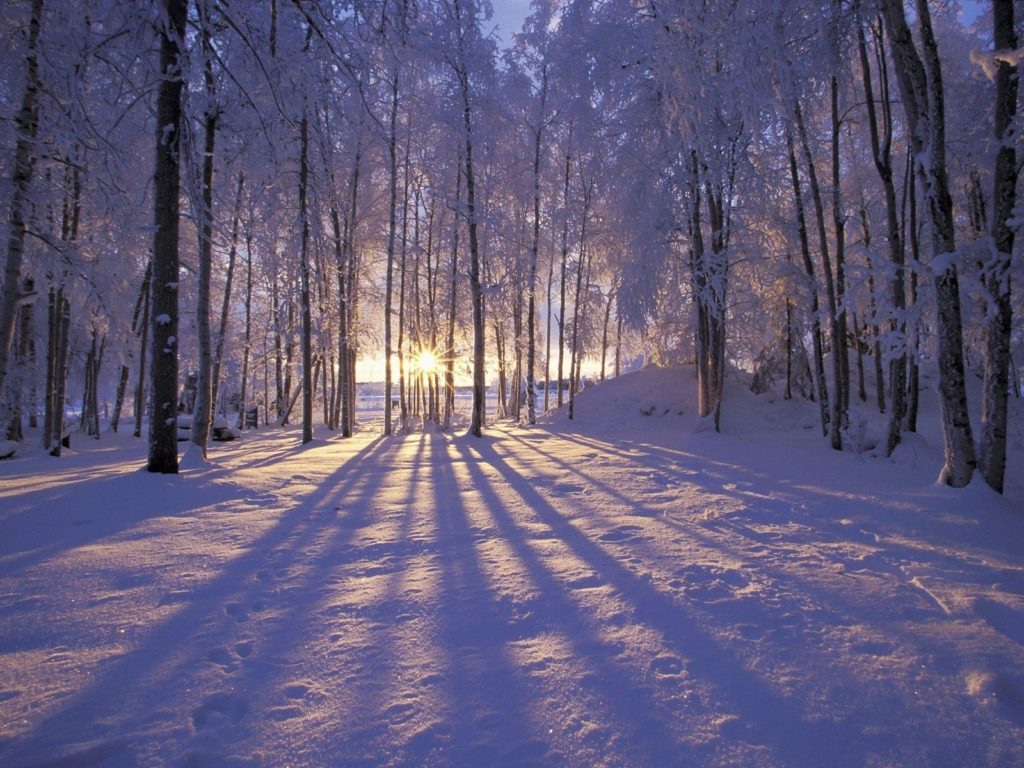 10 Most Popular Winter Free Wallpaper Background FULL HD 1920×1080 For PC Background 2024 free download winter pictures for desktop backgrounds wallpaper cave 1024x768