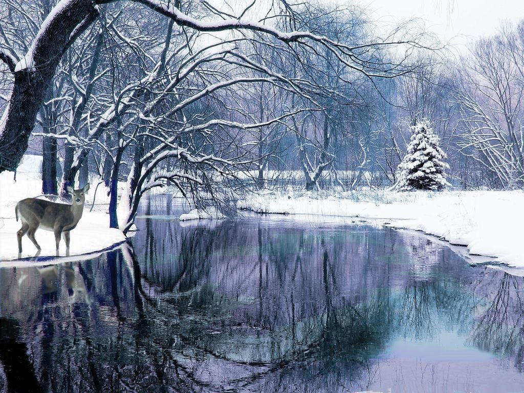 10 Most Popular Winter Scene Screensavers Free FULL HD 1920×1080 For PC Desktop 2024 free download winter scenes backgrounds wallpapers browse 1024x768