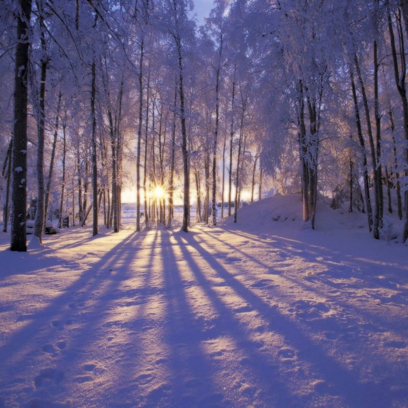 10 Best Winter Scenes For Desktop FULL HD 1080p For PC Background 2024 free download winter scenes desktop backgrounds wallpaper cave 1 800x800