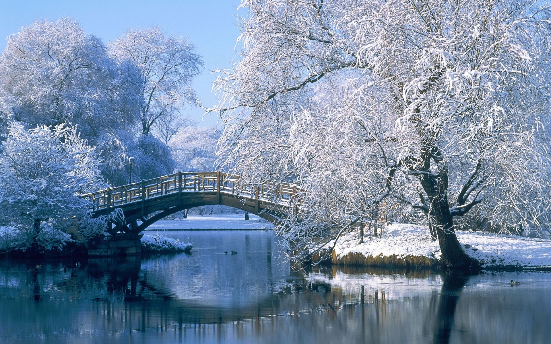 10 Most Popular Free Winter Wallpapers And Screensavers ...