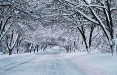 winter snow scenes | winter nature snow scene | winter scenes