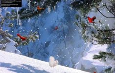 winter wallpapers full hd group 1920×1080 winter screen wallpapers