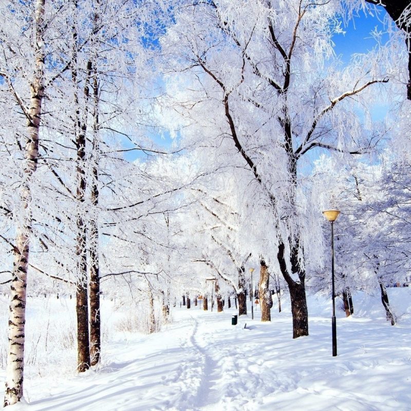 10 Most Popular Winter Wonderland Background Pictures FULL HD 1920×1080 For PC Background 2024 free download winter wonderland e29da4 4k hd desktop wallpaper for 4k ultra hd tv 2 800x800