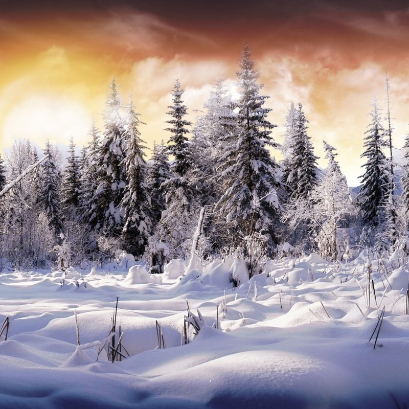 10 New Winter Wonderland Hd Wallpaper FULL HD 1920×1080 For PC Desktop 2024 free download %name