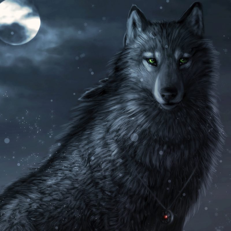 10 Latest Black Wolf Desktop Background FULL HD 1080p For ...