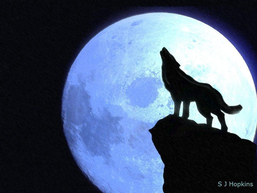 wolf howling at the moon wallpapers - wallpaper cave
