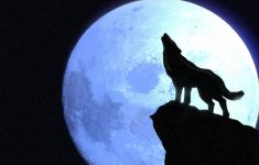 wolves howling at the moon | howling_at_the_moon_by_shopkins