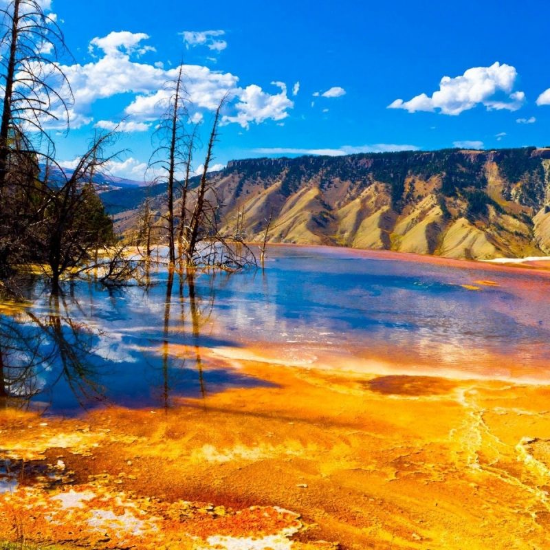 10 New Yellowstone National Park Wallpaper FULL HD 1920×1080 For PC Background 2024 free download yellowstone national park in usa hd wallpapers hd wallpapers 800x800